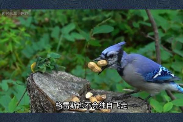 一命救六命：探索生命的厚重与救赎之道