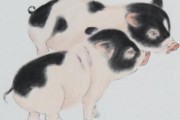 1966年属猪的命运与性格特点解析
