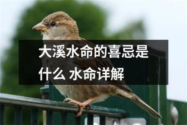水命人在什么命年会迎来财富的曙光？