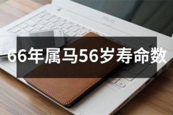 2004年属什么命？探索马年的神秘与转变！