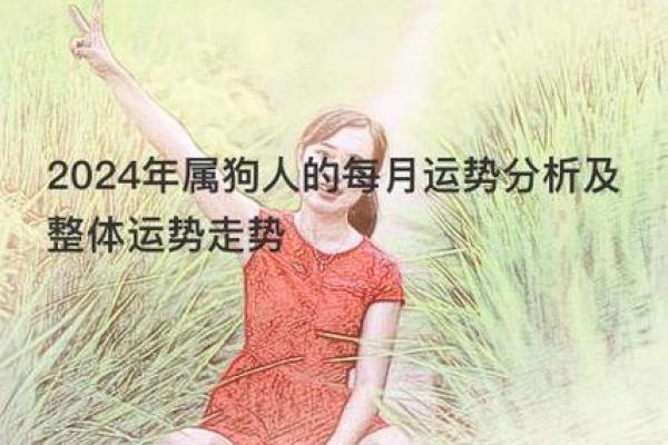 2018年属狗人的命运与运势解析：从爱情到事业的全方位解读