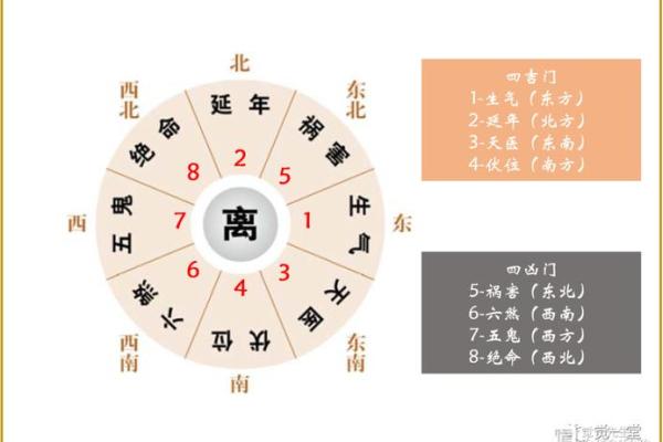 命局与命卦：探索命理学中的奥秘与区别