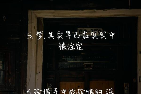 探索1991年命运的幸运与智慧之旅