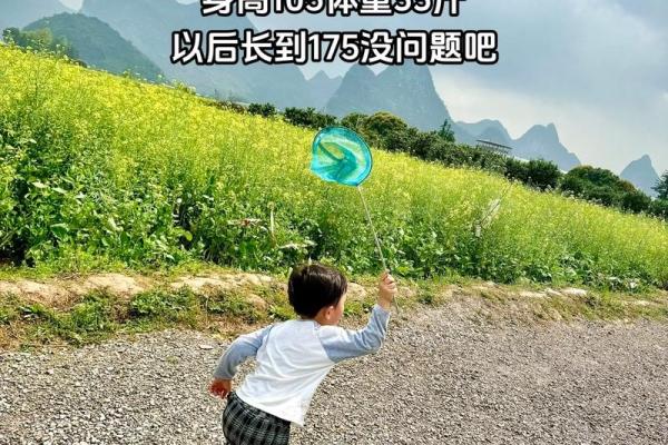 1993年属猪的人，命运与性格的深度解析