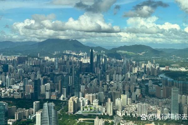 从35层高楼俯瞰月明，探索命格中的神秘力量