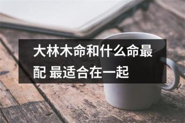 水命人最适合与什么命人合作？探寻最佳合伙人关系
