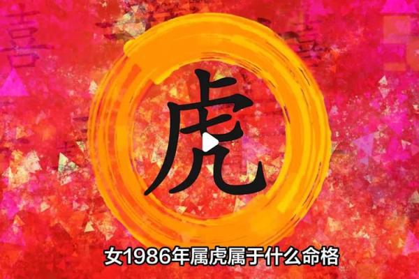 无敌生肖女命，解密她们的魅力与命格