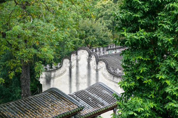 探秘壬午年生人：命理与性格的深度解析