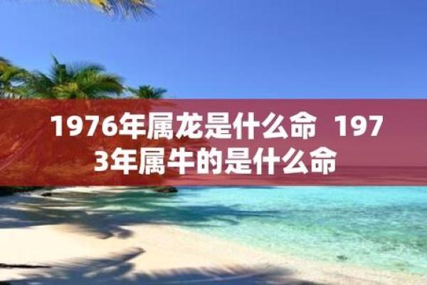揭开1964年龙年的神秘面纱：命理解析与性格特点