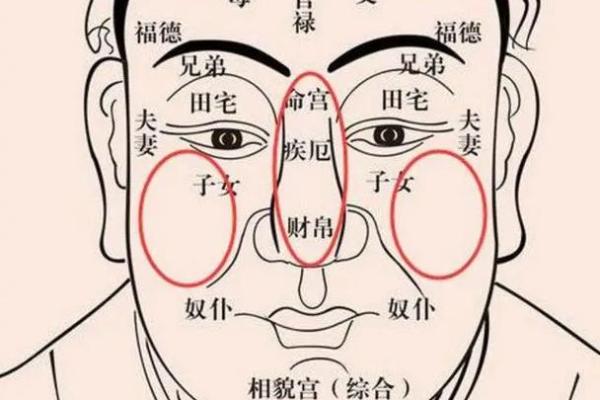 手指肥大粗壮的人命运解析：从相学看生活运势与性格特征