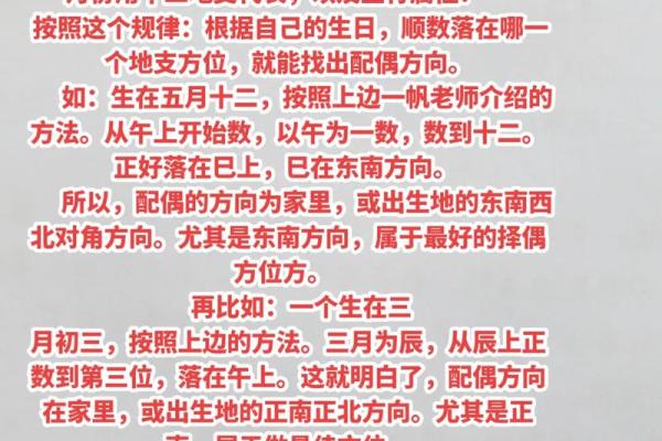 探秘20000龙年：生肖命理与人生智慧之旅