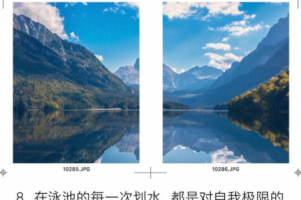 命与运：人生旅途中的选择与机遇