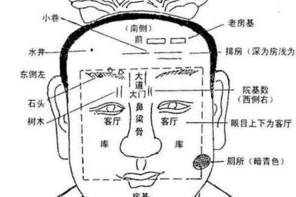 手指肥大粗壮的人命运解析：从相学看生活运势与性格特征