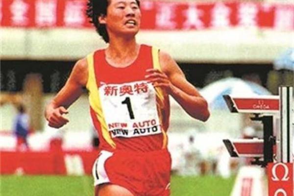 1954年属马的命运与运势：探寻人生的轨迹与智慧
