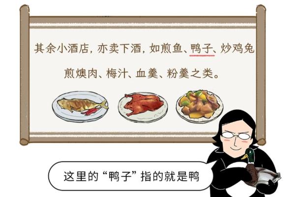 探索犬命与兔命在山向中的命理奥秘