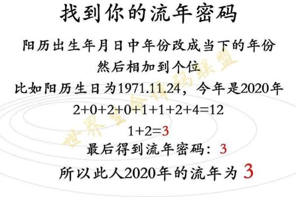 2019年出生的人命理特点与生活运势解析