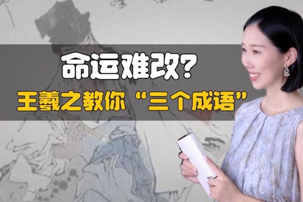 掌握命运之舵，成语助你腾飞人生！