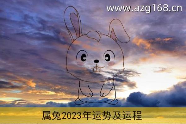属兔的人命理解析：浑身充满智慧与灵动的命格特征