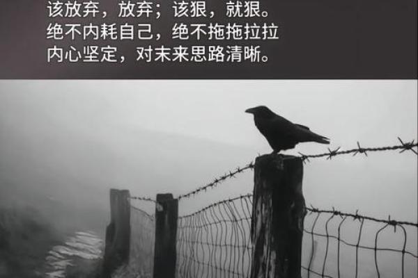 探寻2018年命运的奥秘：如何把握人生方向与机会