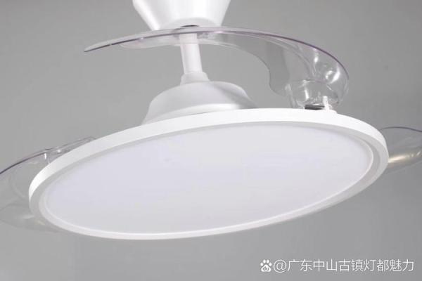 1995年水猪年的命运与人生哲学探讨