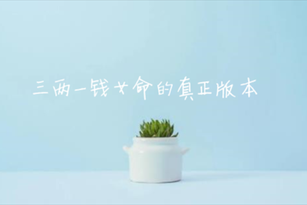 一命三命：探寻命运与人生的深邃哲理
