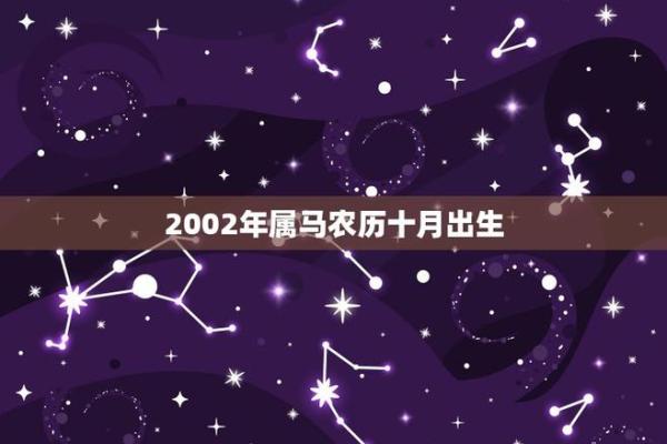属马人的命运解析：激情与奔放的生命旅程