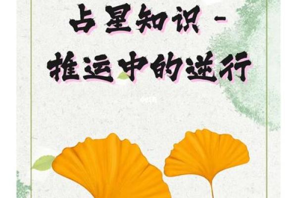 2000年命格解析：探索命运背后的星辰力量
