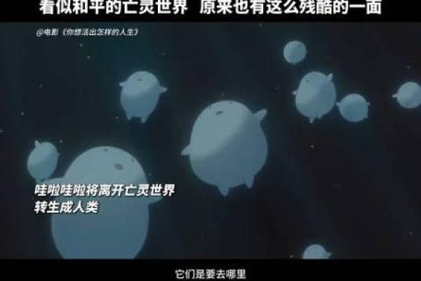 1996年11月命运的奥秘：解读人生的脉络与启示