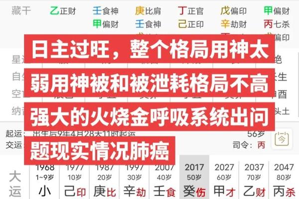 2023年命理解密：你缺什么？如何弥补提升运势！