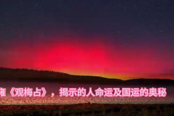 1995年8月12日出生的人命理解析：掌握命运的奥秘与未来趋势