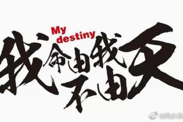 探寻2024年木龙之命的神秘与魅力：命理与人生的交织旅程