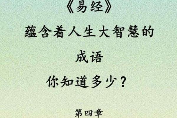 如何根据命名和西成语探索人生智慧与哲理