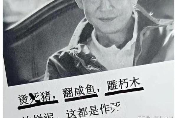 探索木猪命与山头火命的神秘世界：命理与运势的深度解析