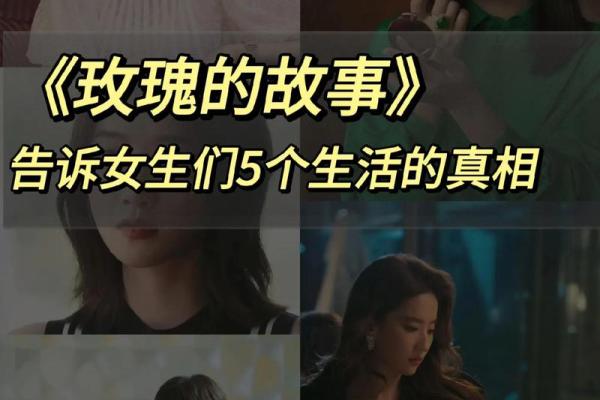 男命戊申与女命壬子的命理解析与情感共鸣