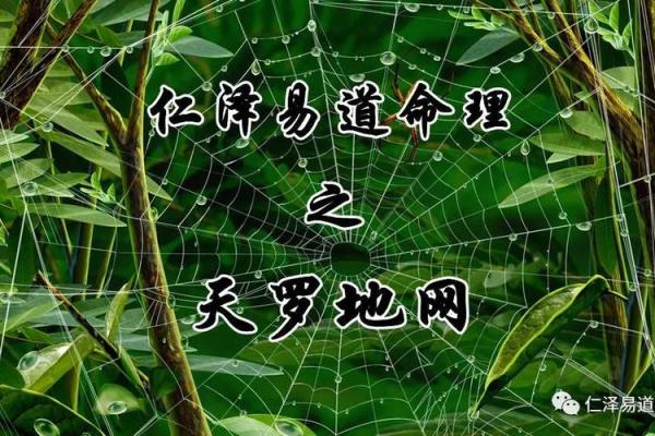 揭开命理之谜：天罗地网之人身上的秘密与特征