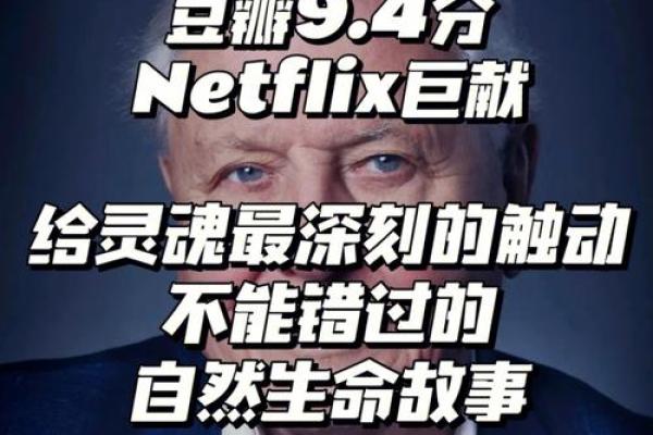 八字命理之火命：热烈生命的独特旅程
