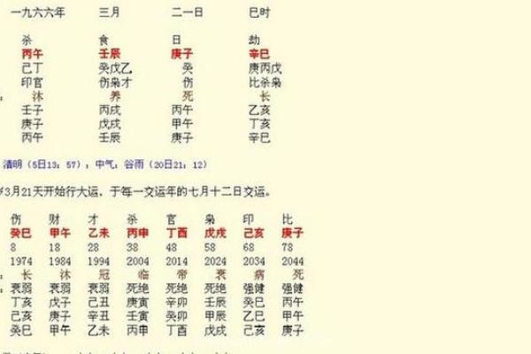 五行命理探秘：如何运用五行提升生活质量？