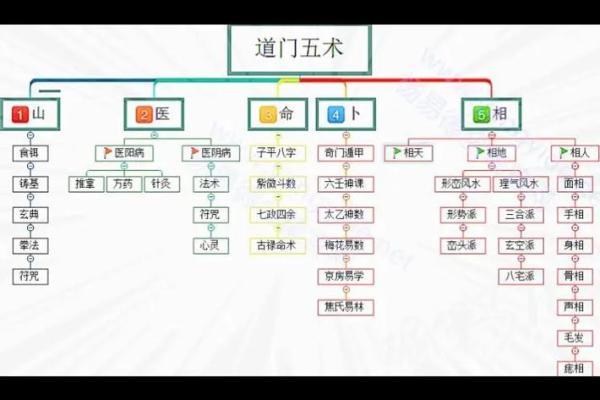 探索命理奥秘：乙丑、丙戌、癸巳的命运解读与人生哲学