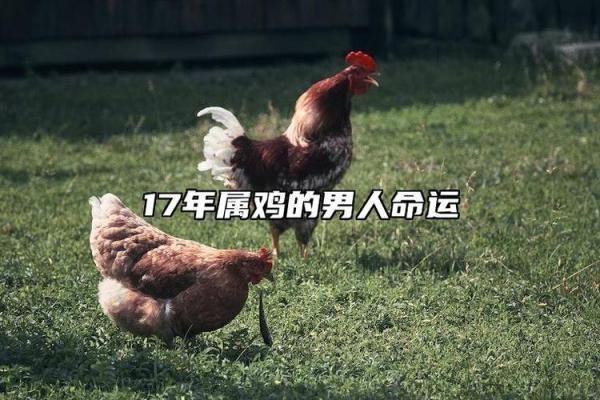 属鸡1957的人命运解析：从性格到事业的全面剖析