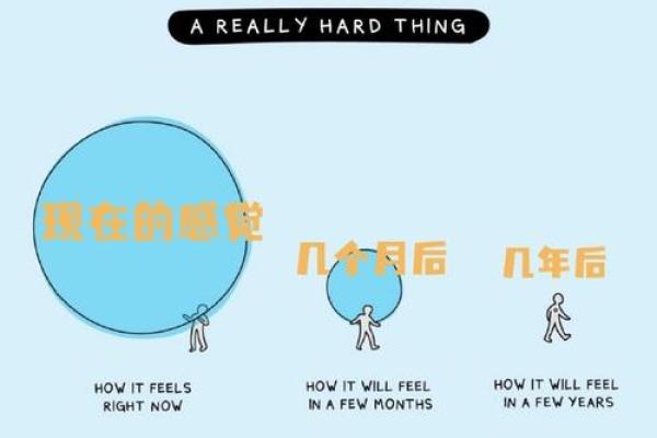 2020年猪命的土命解析与人生指南：让你走向成功与幸福的道路！