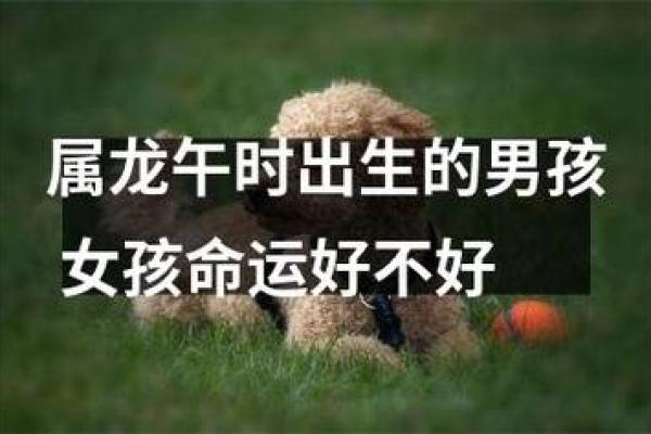 探索19981018出生者的命运与人生轨迹