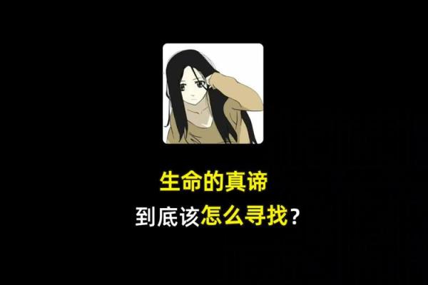75岁老鼠的传奇人生：探索生命的真谛与智慧流传