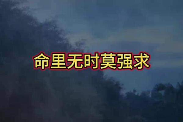 一九九五年出生的人命运解析与人生方向探讨