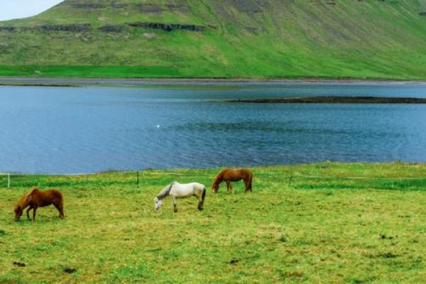 甲辰命星:探索命运和个性的奇妙之旅 甲辰命星:探索命运和个性的奇妙之旅