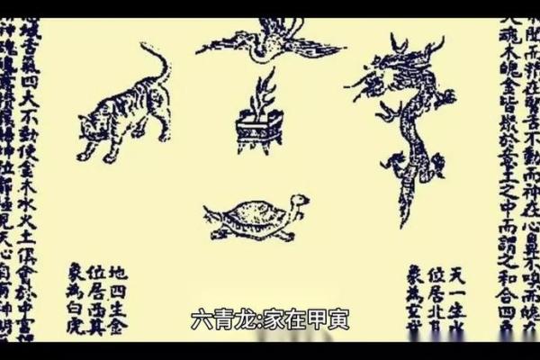 男命青龙命的深刻含义与命理解析