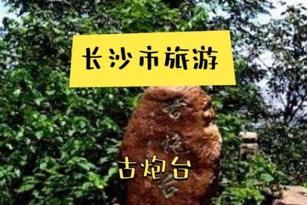 探秘天医临命格女性：揭开她们生命中的神秘面纱