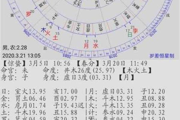 命盘与命格的区别：揭开命理学的神秘面纱