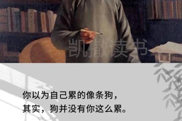正月十六出生的属狗命运解析：探秘个性与人生之路