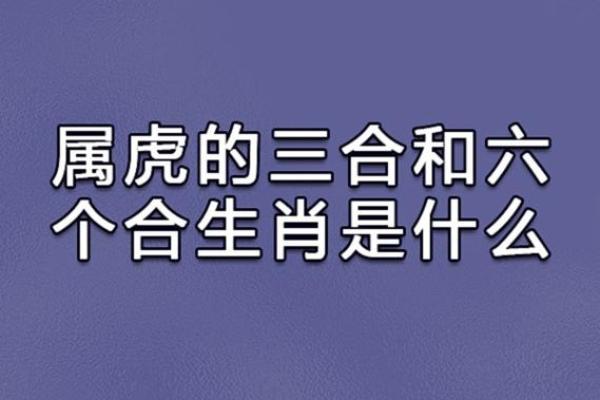 1959属猪命缺什么，揭秘生肖命理中的奥秘与机遇！