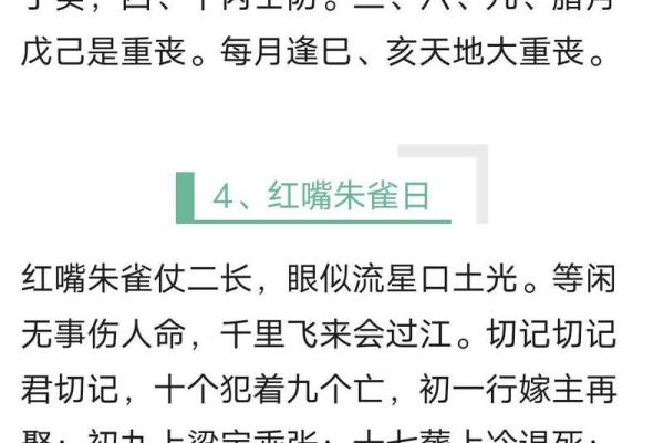 命中朱雀：探索朱雀命理在生活中的指引和启示